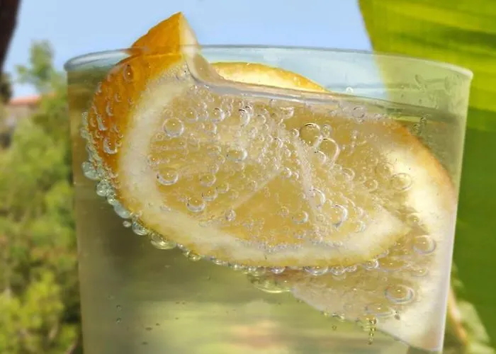 לינה וארוחת בוקר Dei Limoni