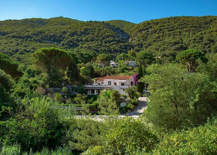 Dei Limoni
